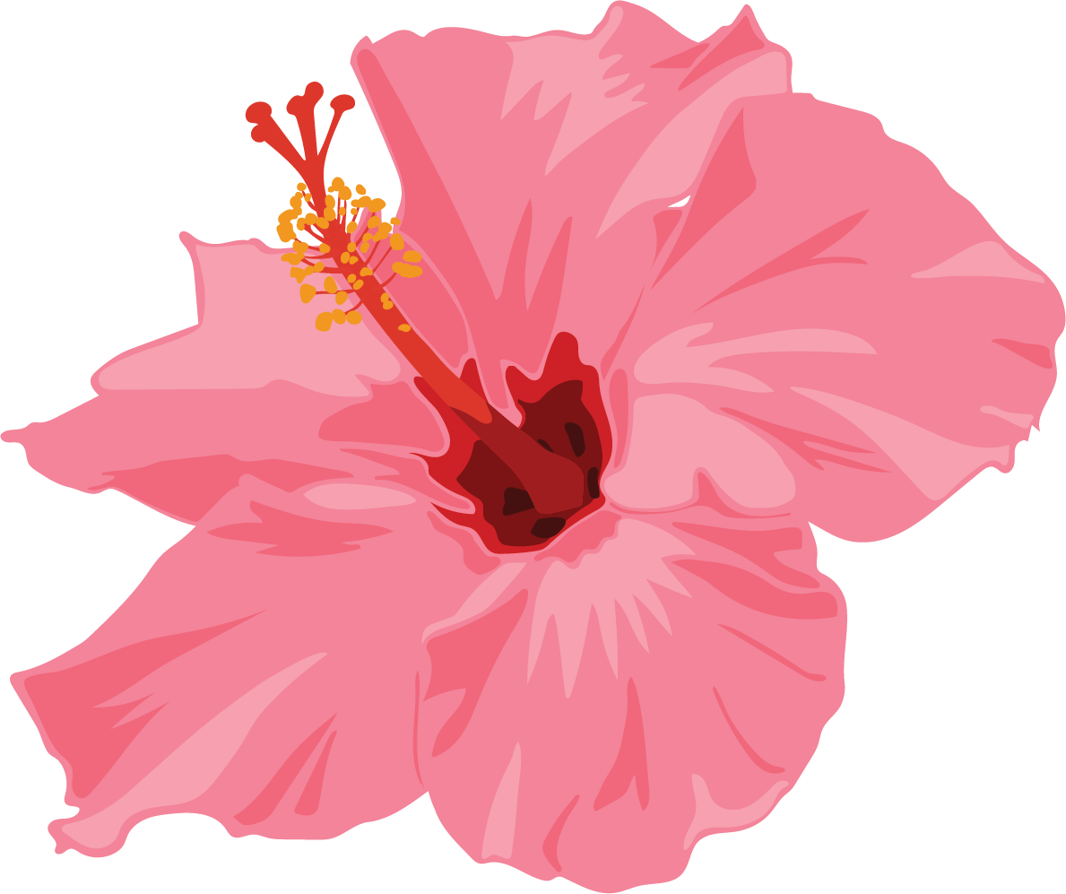 Hibiscus Vector Art - Julia Ableson.